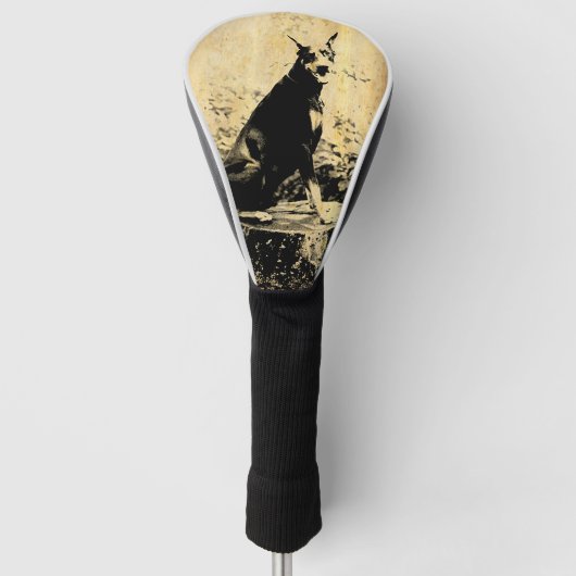 （犬）ドーベルマン・ピンシェルのヴィンテージの古い写真 ゴルフヘッドカバー (正面)