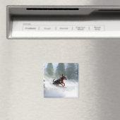 （犬）ドーベルマン・ピンシェルクリスマスの雪の冬 マグネット (インサイチュ (食洗機))