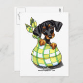 （犬）ドーベルマン・ピンシェルサックパピー ポストカード (正面/裏面)