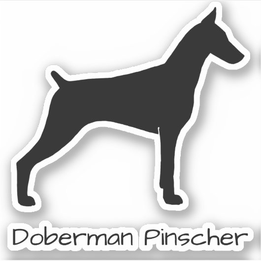 (犬)ドーベルマン・ピンシェルシルエックールトドッグステッカー シール (正面)
