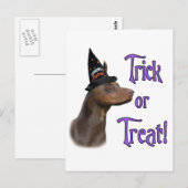 (犬)ドーベルマン・ピンシェルトリック ポストカード (正面/裏面)