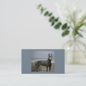 （犬）ドーベルマン・ピンシェル犬の恋人の名刺 名刺 (スタンド正面)