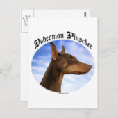 （犬）ドーベルマン・ピンシェル雲 ポストカード (正面/裏面)