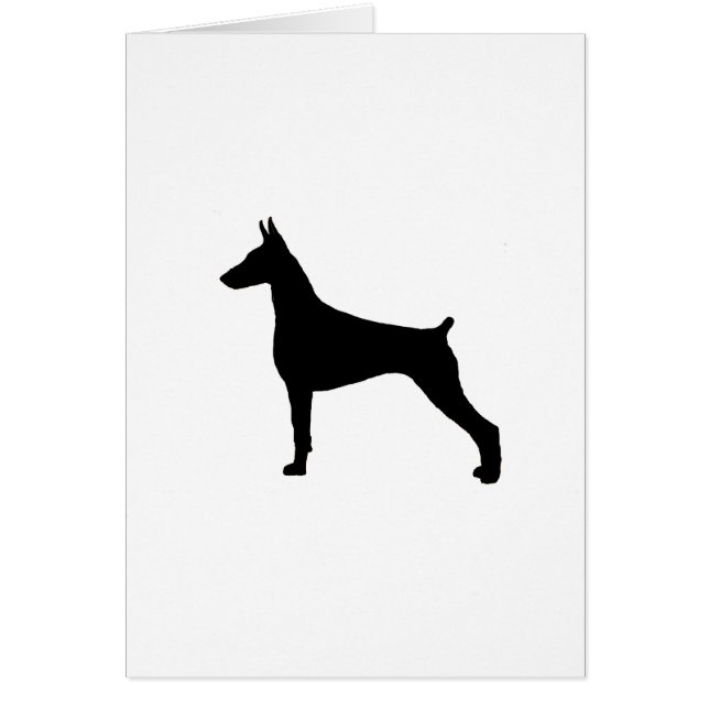 （犬）ドーベルマン・ピンシェル (正面)