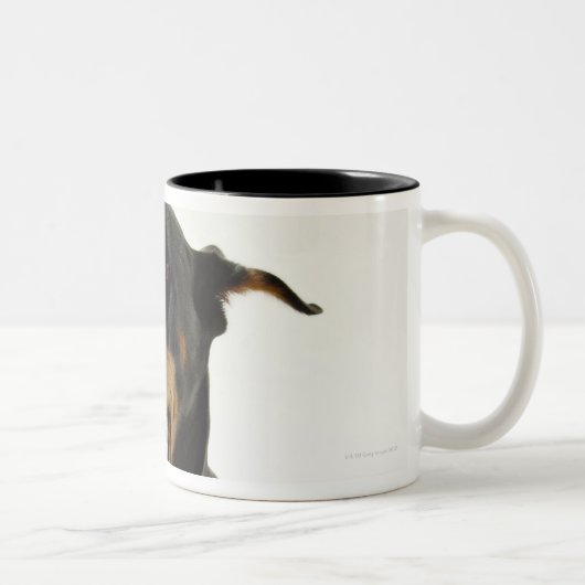 （犬）ドーベルマン・ピンシェル2 ツートーンマグカップ (右)