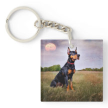 （犬）ドーベルマン・ピンシェル