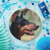 （犬）ドーベルマン・ピンシェル ペーパープレート (パーティー)