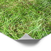 （犬）ドーベルマン・ピンシェル ポスター (角)