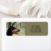 （犬）ドーベルマン・ピンシェル ラベル (インサイチュ)