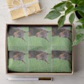 （犬）ドーベルマン・ピンシェル 薄葉紙 (ギフト)