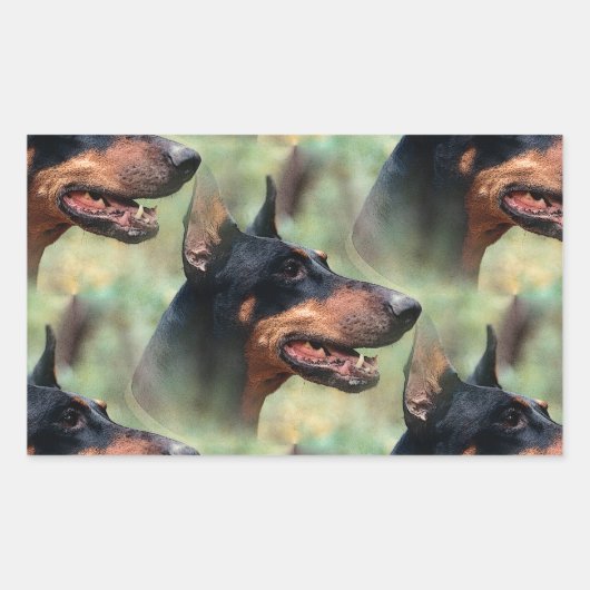 （犬）ドーベルマン・ピンシェル 長方形シール (正面)