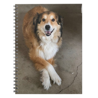 犬 ノートブック