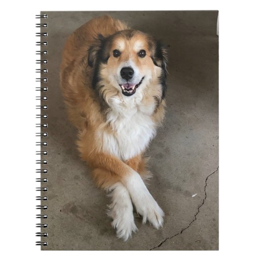 犬 ノートブック (正面)