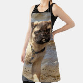 犬，パグ，モップ風呂タオル設定，セット エプロン (インサイチュ)