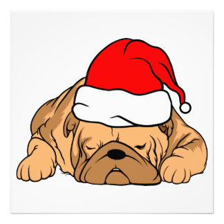 犬 フォトプリント           