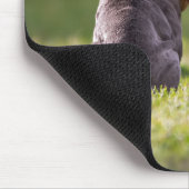 犬，ブルドッグ，イギリスのブルドッグ マウスパッド (コーナー)