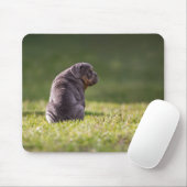 犬，ブルドッグ，イギリスのブルドッグ マウスパッド (マウス)
