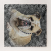 犬，ペット，かわいい，動物，品種，パズル，ワンちゃん， ジグソーパズル (横)