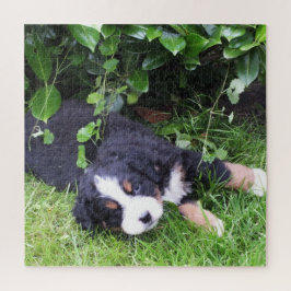 犬, ペット, かわいい, 動物, 品種, パズル, 子犬 ジグソーパズル
