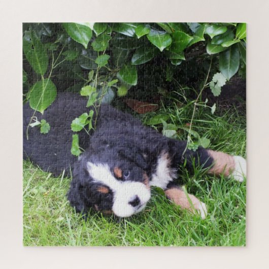 犬, ペット, かわいい, 動物, 品種, パズル, 子犬 ジグソーパズル (縦)