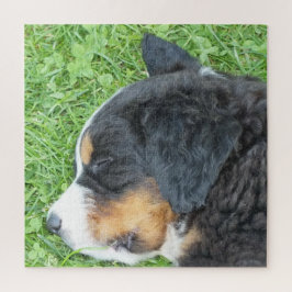 犬, ペット, かわいい, 動物, 品種, パズル, 子犬 ジグソーパズル