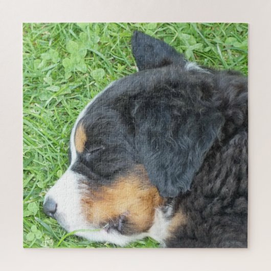 犬, ペット, かわいい, 動物, 品種, パズル, 子犬 ジグソーパズル (縦)