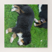 犬, ペット, かわいい, 動物, 品種, パズル, 子犬 ジグソーパズル (横)