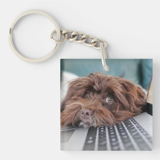 犬、ペット、収容 キーホルダー (正面)