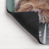 犬、ペット、収容 マウスパッド (コーナー)