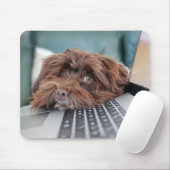 犬、ペット、収容 マウスパッド (マウス)