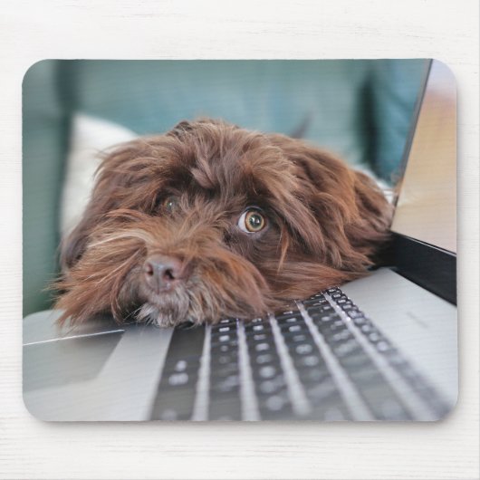 犬、ペット、収容 マウスパッド (正面)