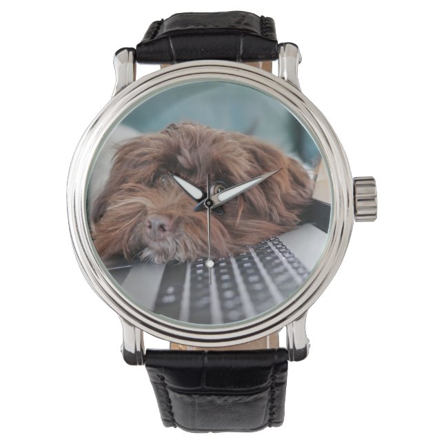 犬、ペット、収容 腕時計 (正面)