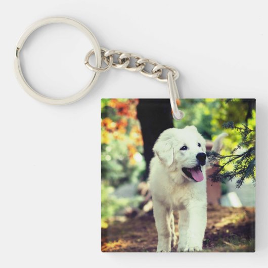 犬、ペット、犬 キーホルダー (正面)