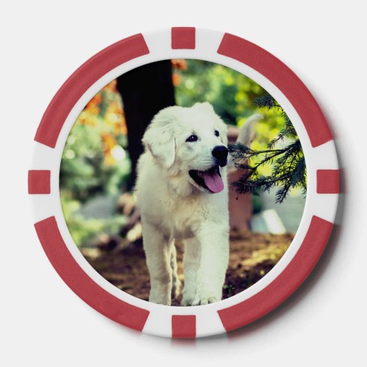 犬、ペット、犬 ポーカーチップ (正面)