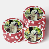 犬、ペット、犬 ポーカーチップ (積み重ね)