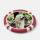 犬、ペット、犬 ポーカーチップ (シングル)