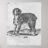 犬 ポスター (正面)