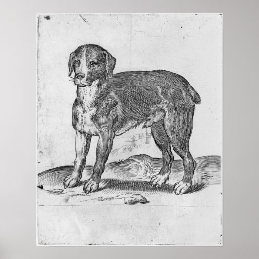 犬 ポスター (正面)