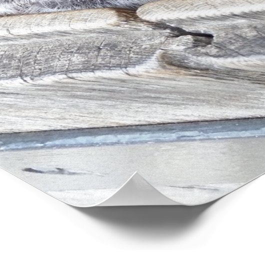 犬 ポスター (角)