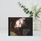 犬… ポストカード (スタンド正面)