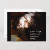 犬… ポストカード (正面/裏面)