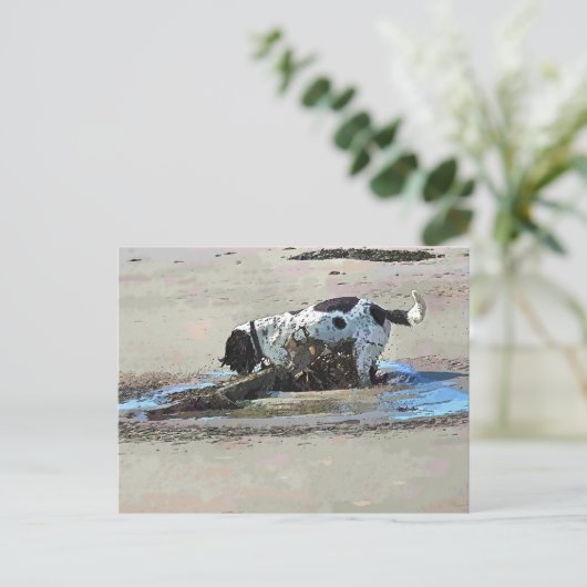 犬 ポストカード (スタンド正面)