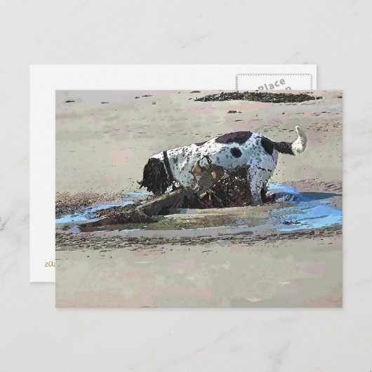 犬 ポストカード (正面/裏面)