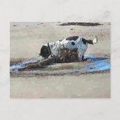 犬 ポストカード (正面)