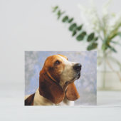 犬 ポストカード (スタンド正面)