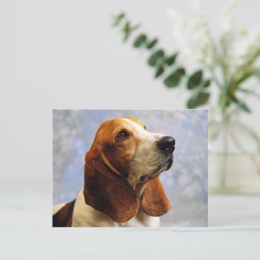 犬 ポストカード (スタンド正面)