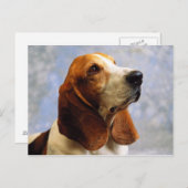 犬 ポストカード (正面/裏面)