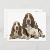 犬 ポストカード (正面/裏面)