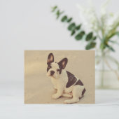 犬 ポストカード (スタンド正面)