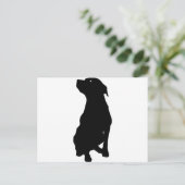 犬 ポストカード (スタンド正面)